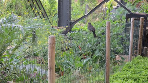 L’Unep vient d’être reconnue «  Partenaire engagé pour la nature » (PEN), label décerné à l’initiative du ministère de la Transition Ecologique et porté par l’Office français de la biodiversité (OFB) mettant en avant les engagements en faveur de la biodiversité. ©P.Fayolle